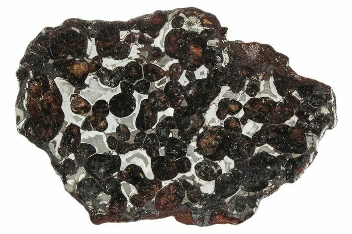 Sericho Pallasite Meteorite ( g) Slice - Kenya #346466